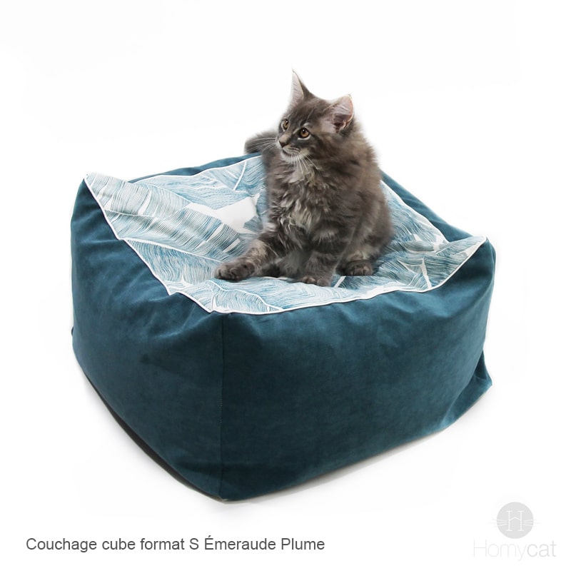 chaton-sur-pouf-couchage-cube-bleu-plume-emeraude-confort-homycat