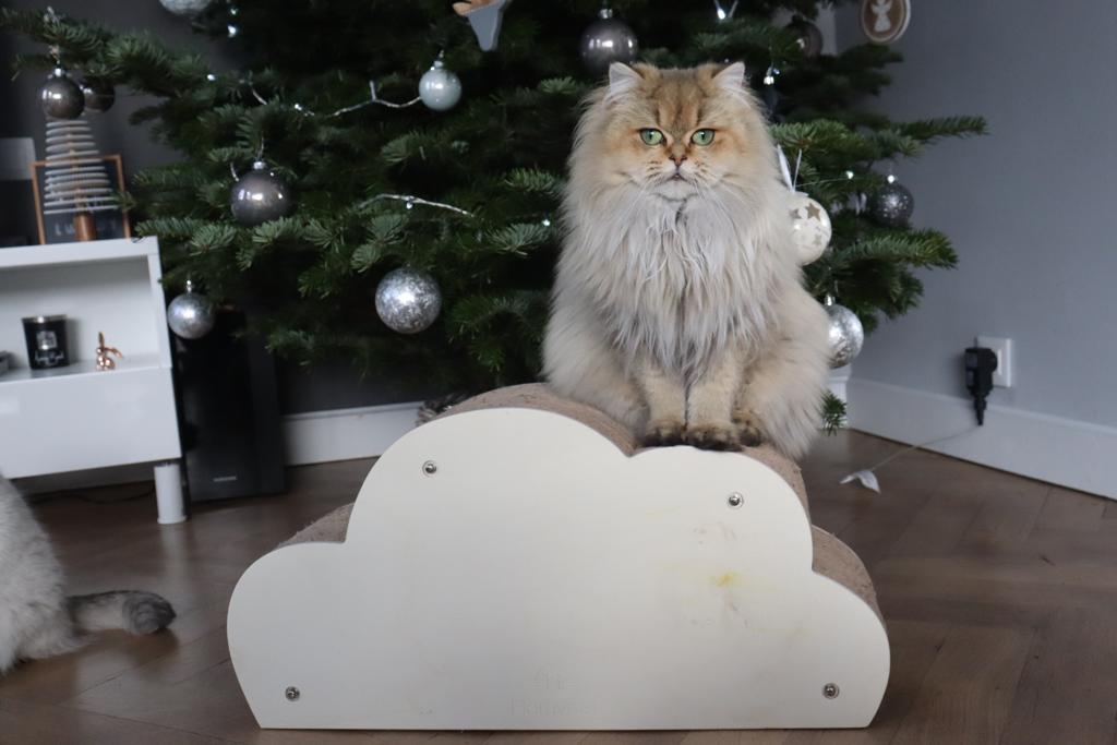 Décoration de Noël chat gris