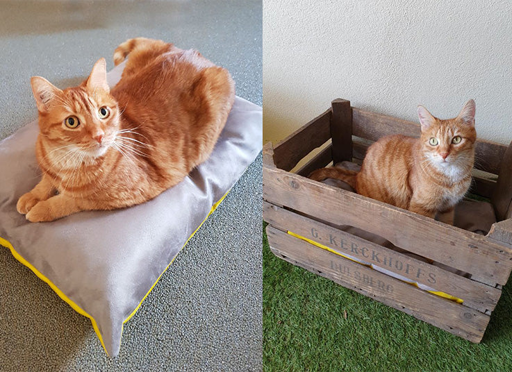 Poufs & Coussins Sur-mesure