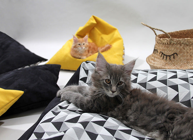 Poufs & coussins