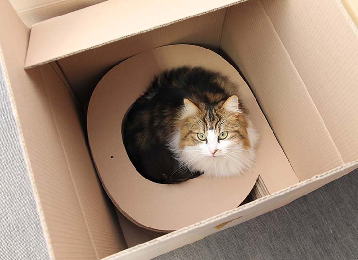 Recharges en carton Homycat pour griffoirs pour chats