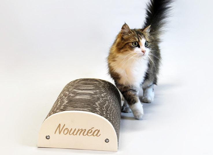 Griffoirs pour chat à personnaliser