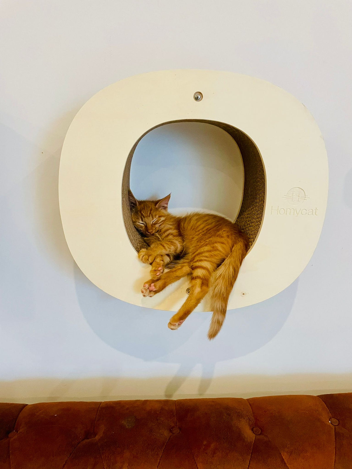 Lettre griffoir mural pour chat au choix (A à Z)