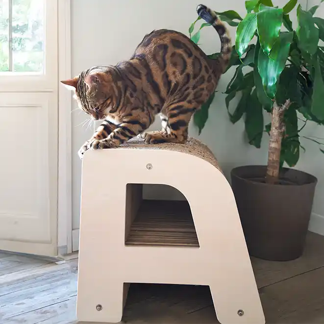 Griffoir Lettre A XL