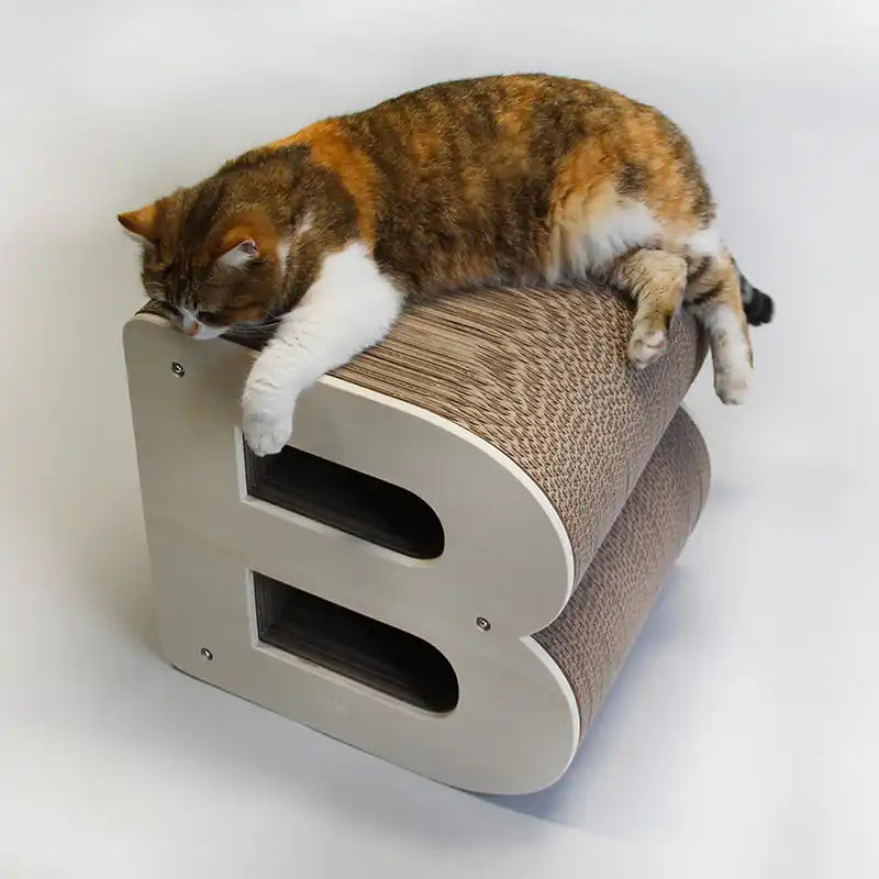 Griffoir Lettre B XL