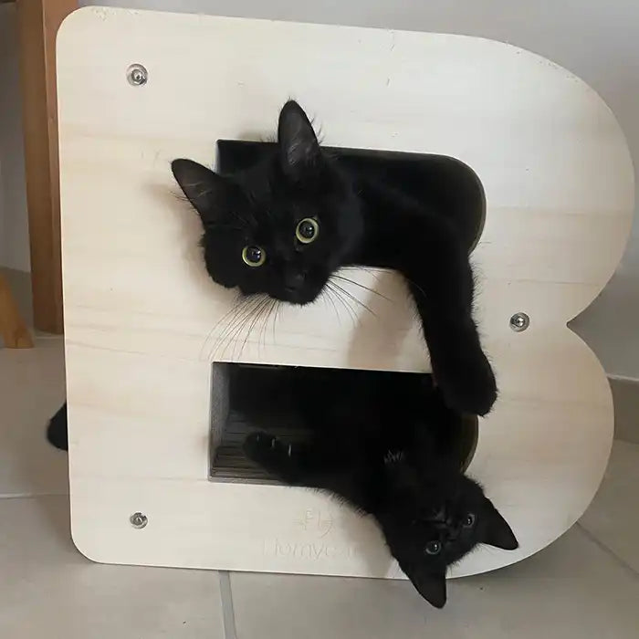 Griffoir Lettre B XL