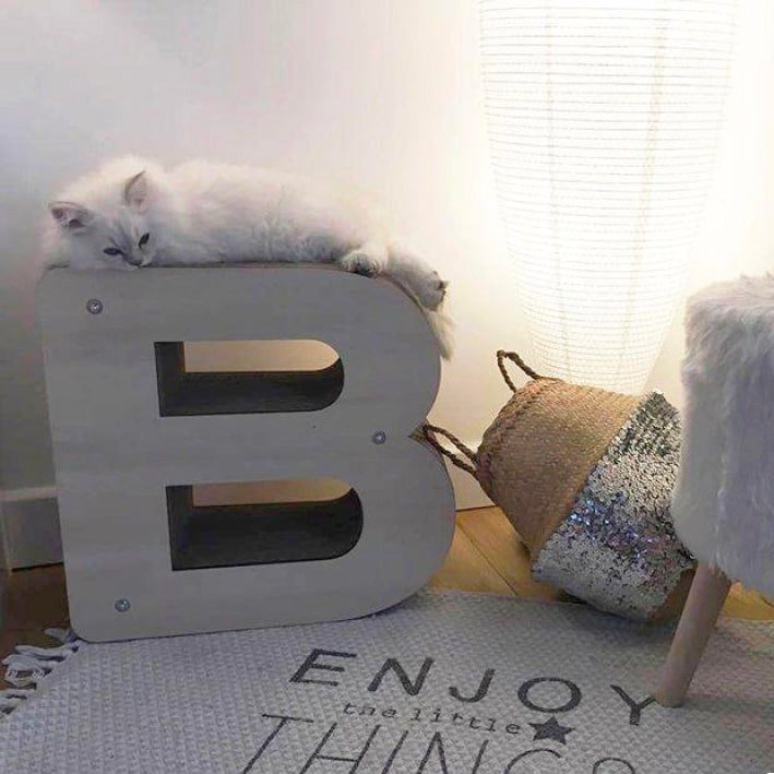 Griffoir Lettre B XL