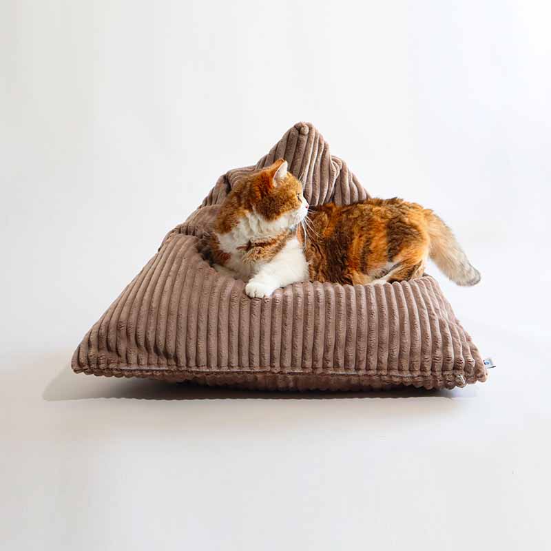 Berlingot Couchage Design Chat - Velours Taupe et Ecru