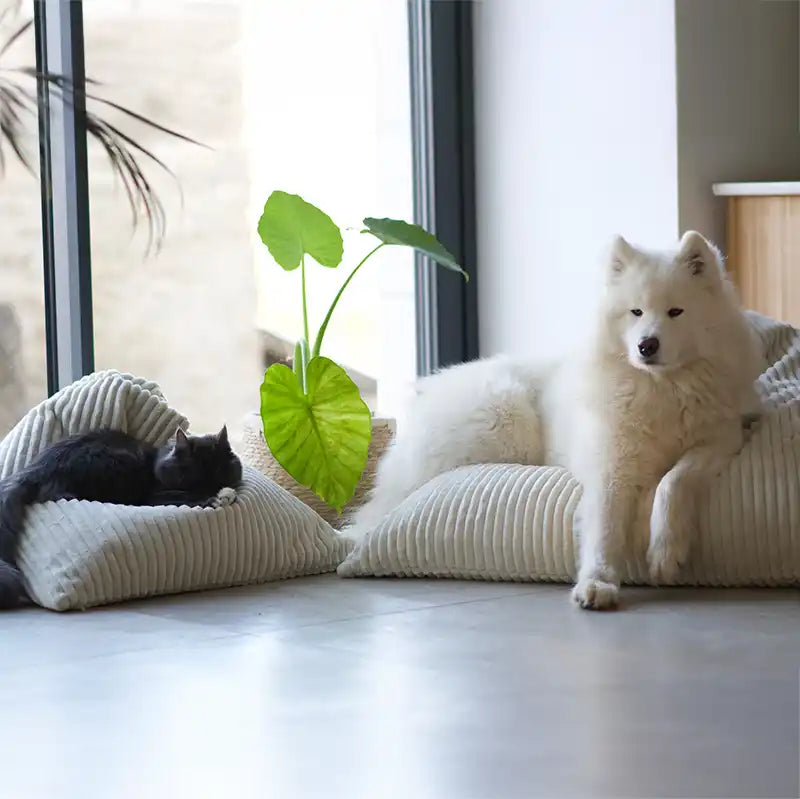 Berlingot Couchage Design Chat - Velours Côtelé Taupe et Ecru