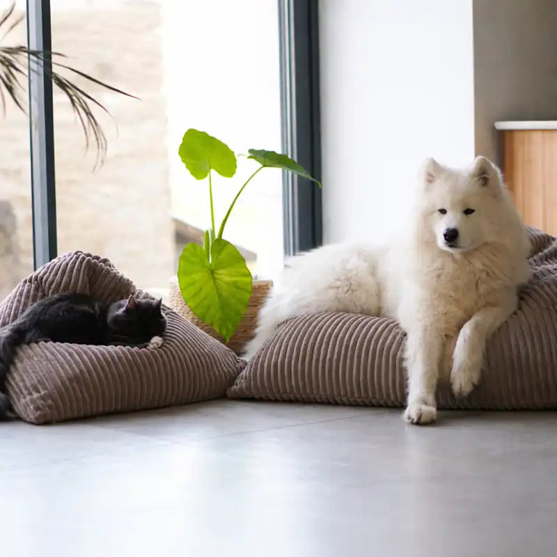 Berlingot Couchage Design Chat - Velours Côtelé Taupe et Ecru