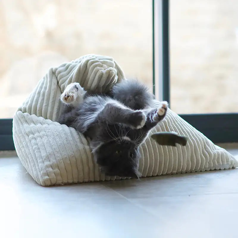 Coussinnerie Design Chat - Velours Taupe ou Ecru - Modèles Berlingot Coussin Cube