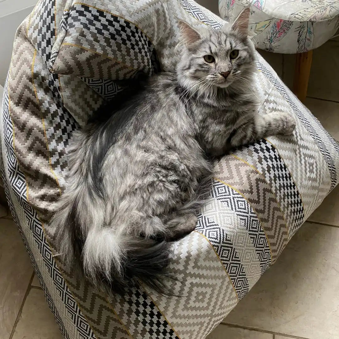 HOUSSES DÉCO POUR BERLINGOTS S ET XL - fin de série