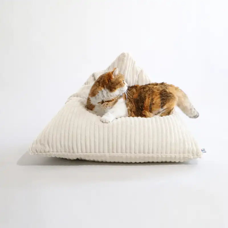 Coussinnerie Design Chat - Velours Taupe ou Ecru - Modèles Berlingot Coussin Cube