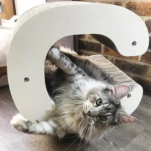 Griffoir Lettre C XL