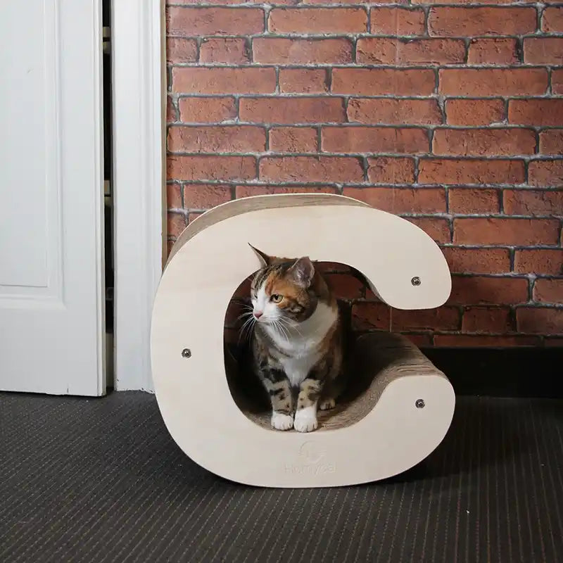 Griffoir Lettre C XL