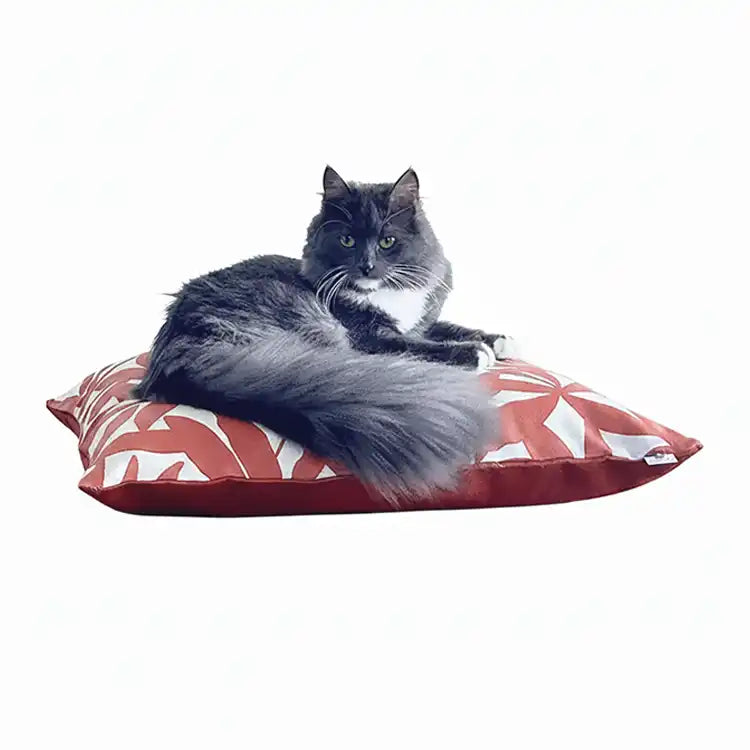 Couchages Chats Design - Coussins XL - Couleur au choix