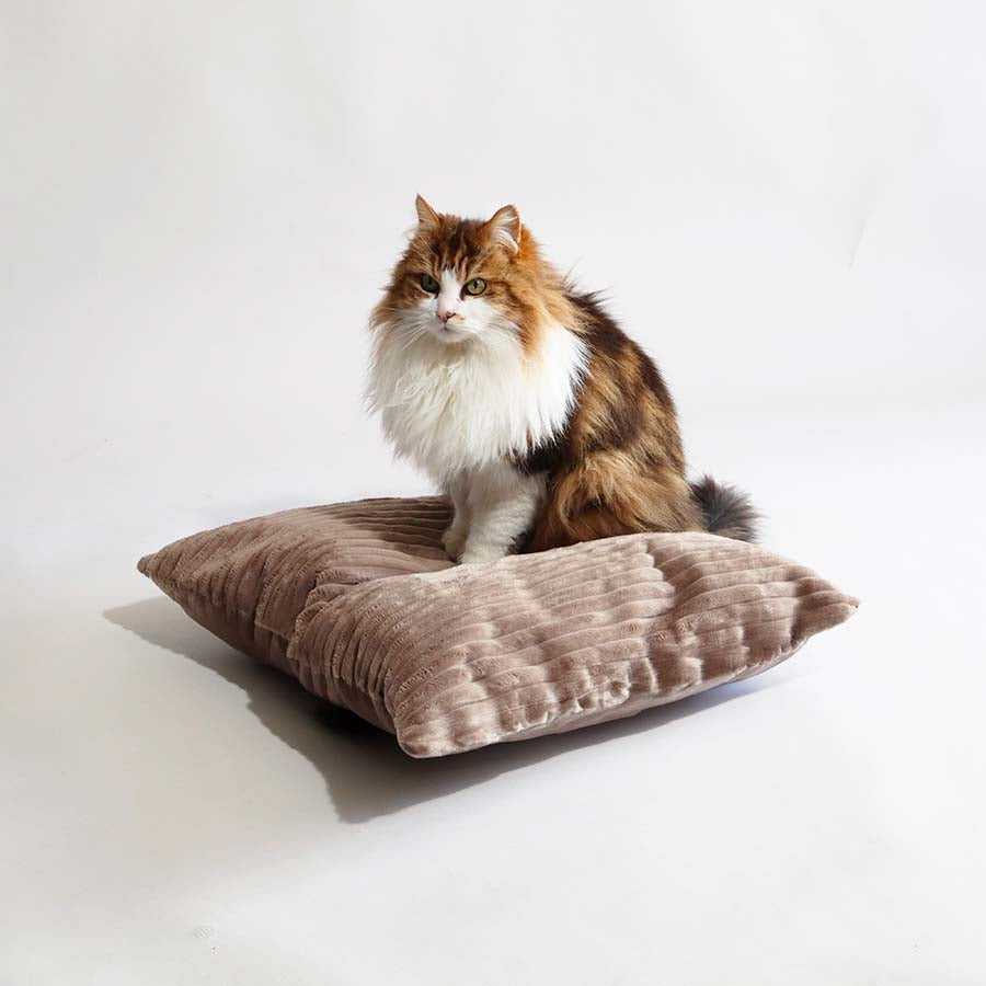 Couchages Chats Design - Coussins XL -