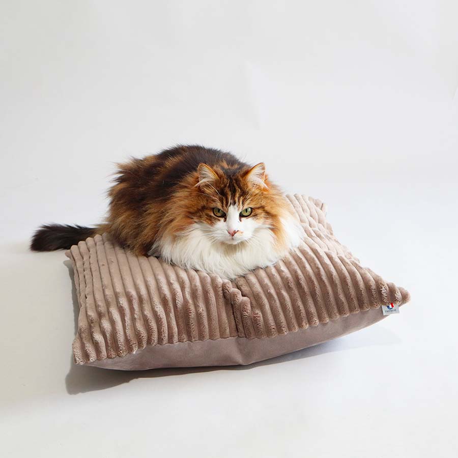 Coussins XL - Couchage chat stylé