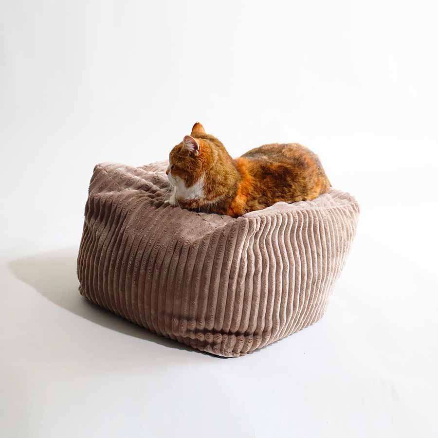 Coussinnerie Design Chat - Velours Taupe ou Ecru - Modèles Berlingot Coussin Cube