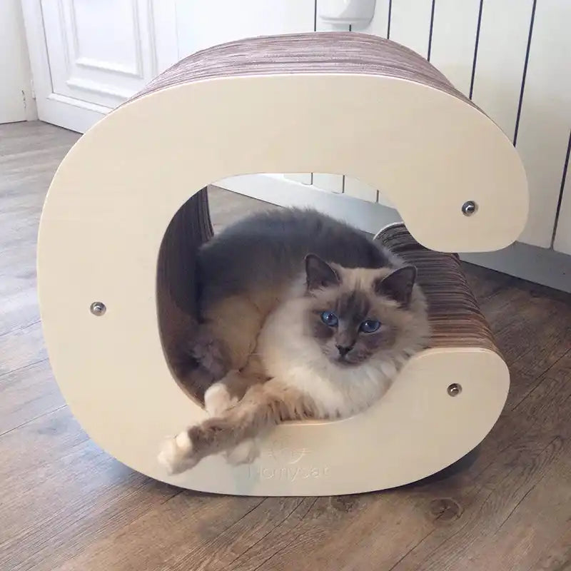 Griffoir Lettre C XL