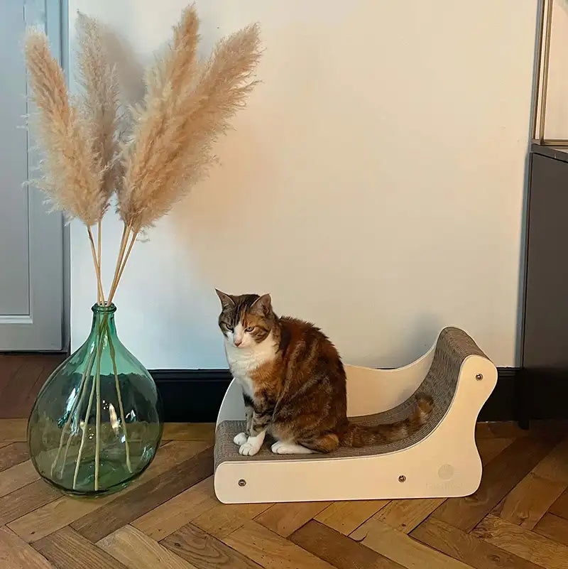 Canapé griffoir Grand Divan pour chat