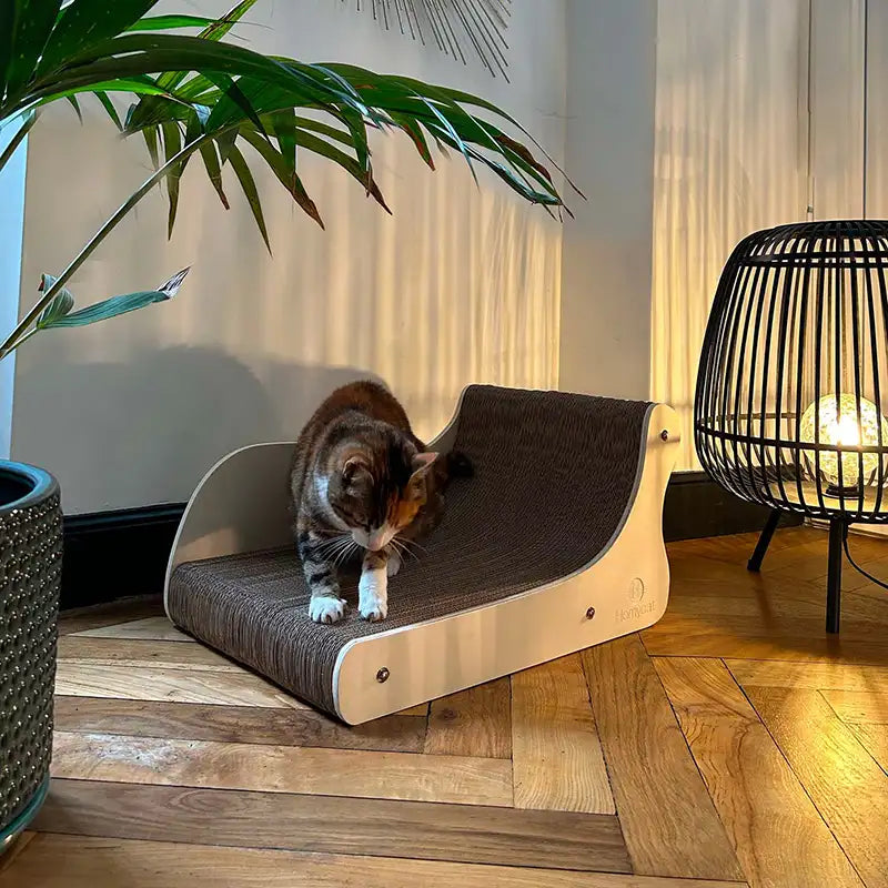 chat sur griffoir canape fabrique en france