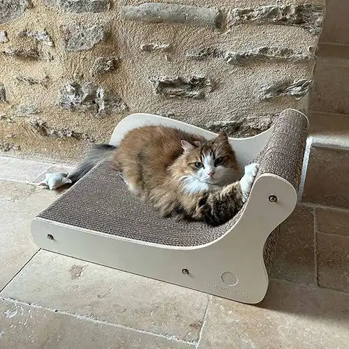 Canapé griffoir Grand Divan pour chat