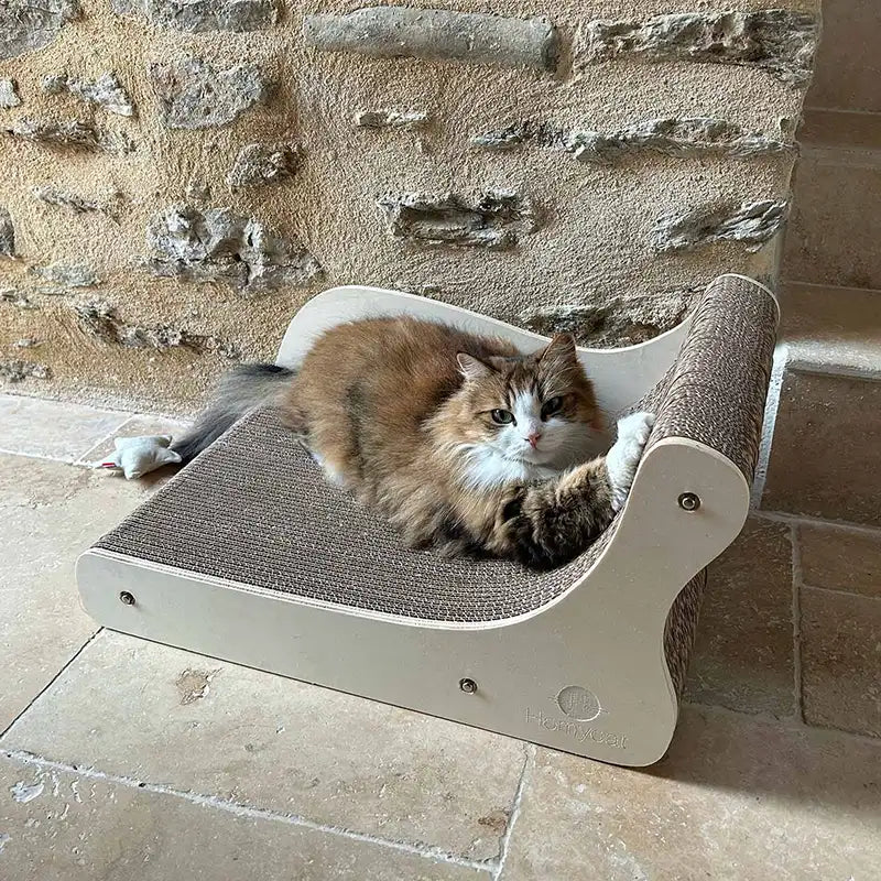 Canapé griffoir Grand Divan pour chat