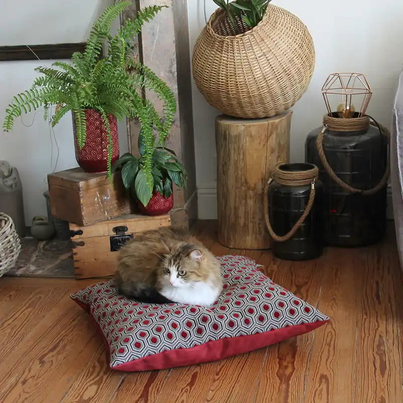 Couchages Chats Design - Coussins XL - Couleur au choix