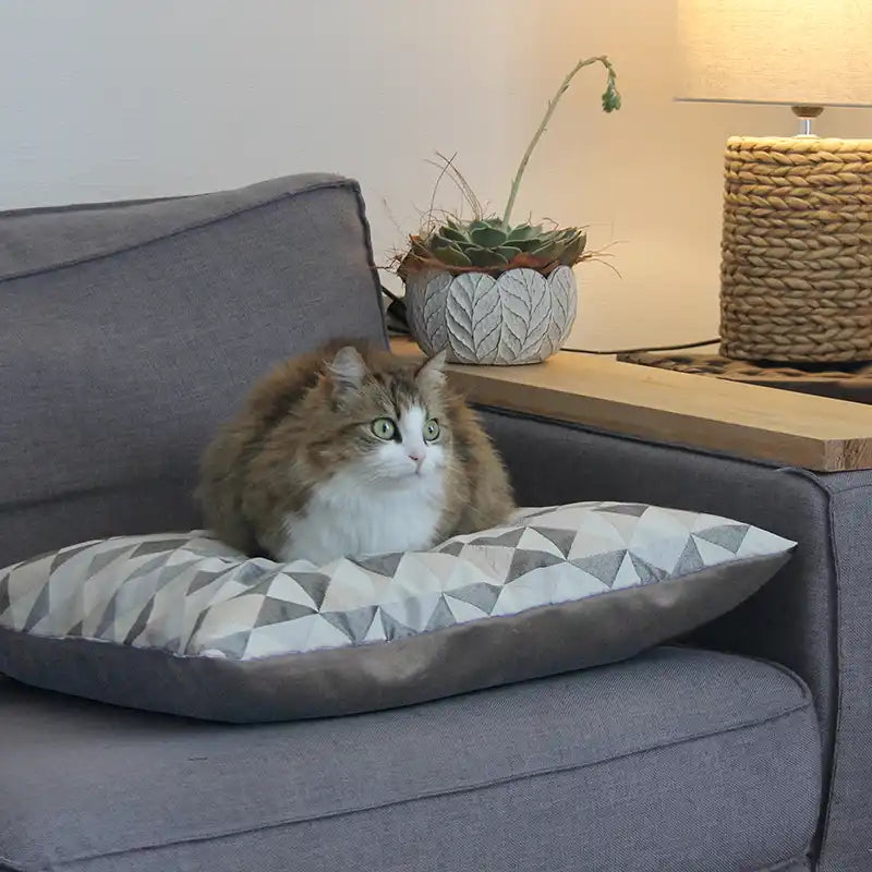 Coussins XL - Couchage chat stylé - Couleur au choix