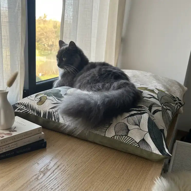 Coussins XL et S  - Couchage chat stylé - Kaki Feuillage Tropical