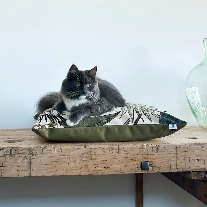 Coussins XL et S  - Couchage chat stylé - Kaki Feuillage Tropical