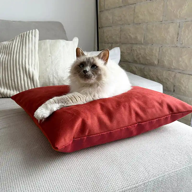 Coussins XL - Couchage chat stylé - Couleur au choix