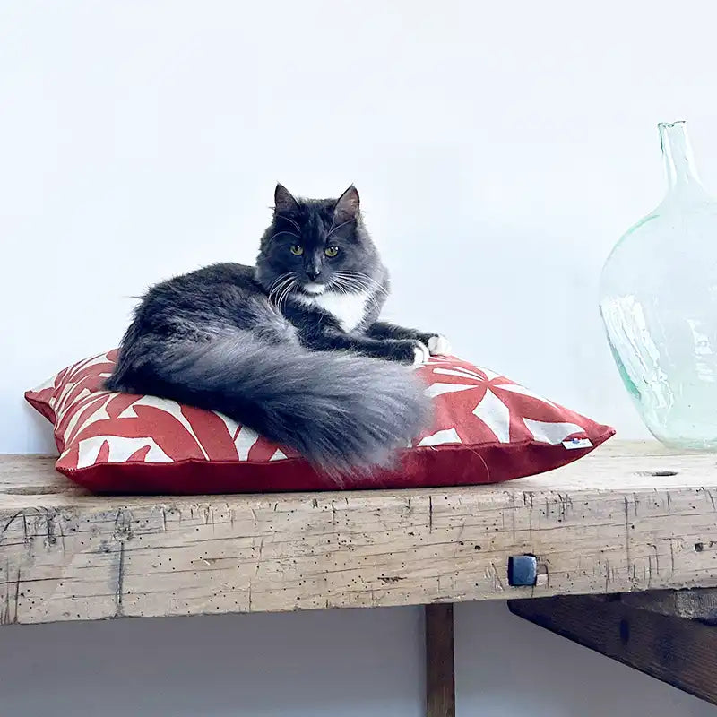 Coussins XL - Couchage chat stylé - Terracotta Feuillage Orange