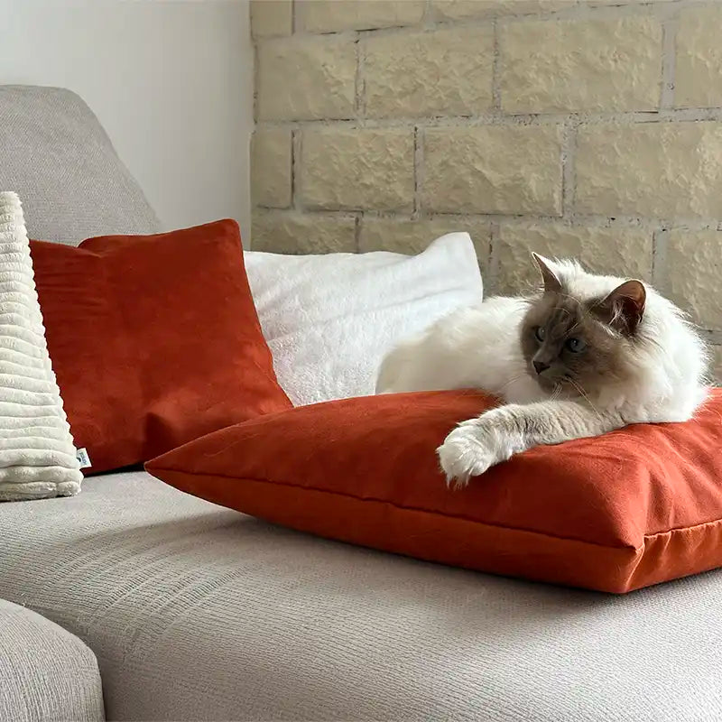 Coussins XL - Couchage chat stylé - Terracotta Feuillage Orange
