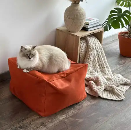 Pouf Cube - Couchages Chats Design - Choix couleur