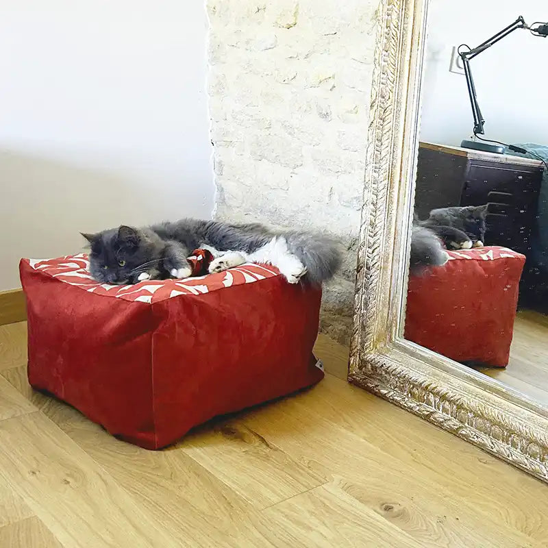 Cubes S et XL - Couchage chat déco - Terracotta Feuillage Orange