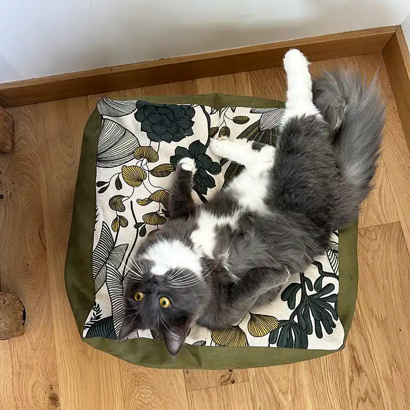 Cubes XL et S  - Couchage chat stylé - Kaki Feuillage Tropical