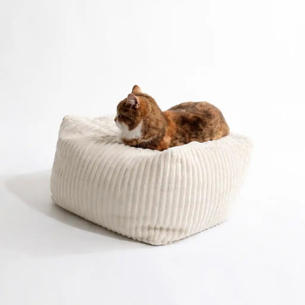 Coussinnerie Design Chat - Velours Taupe ou Ecru - Modèles Berlingot Coussin Cube