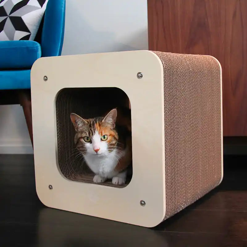 Griffoir Design Cube + Tour XL