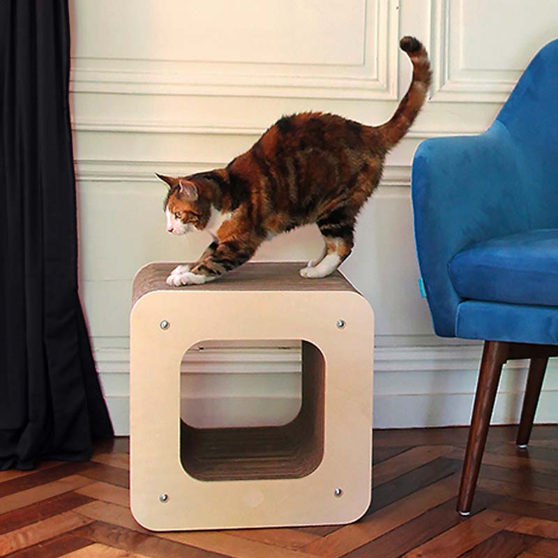 chat griffe grattoir cube design qualite carton bois france homycat