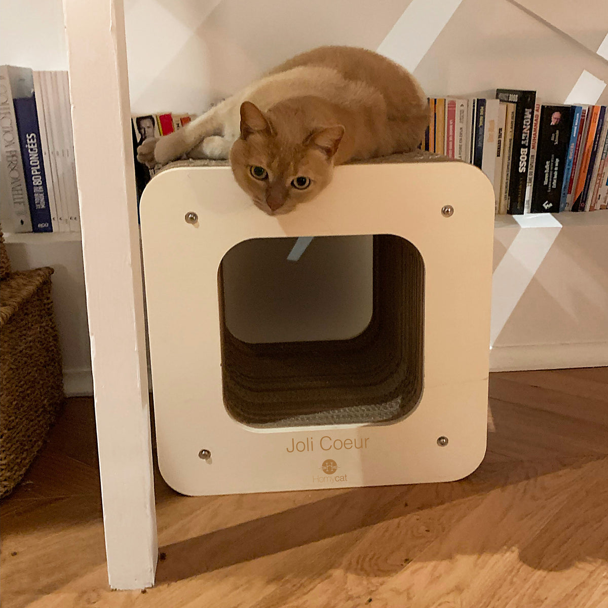 Griffoir cube design - cabane pour chat à personnaliser