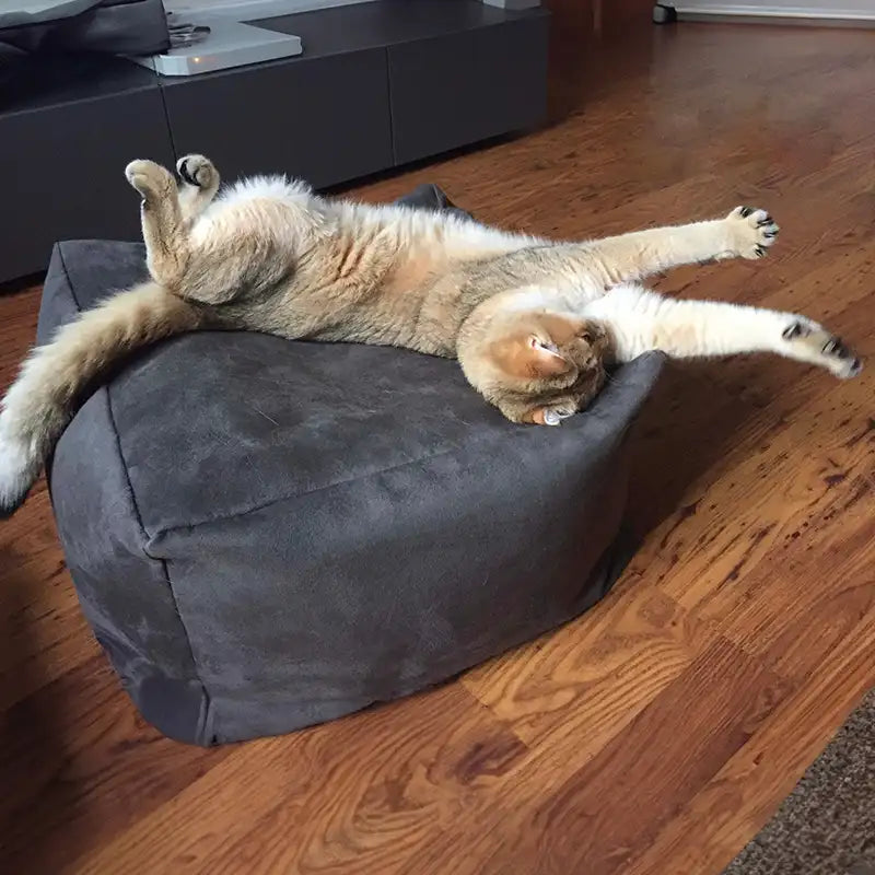 Pouf Cube - Couchages Chats Design - Choix couleur