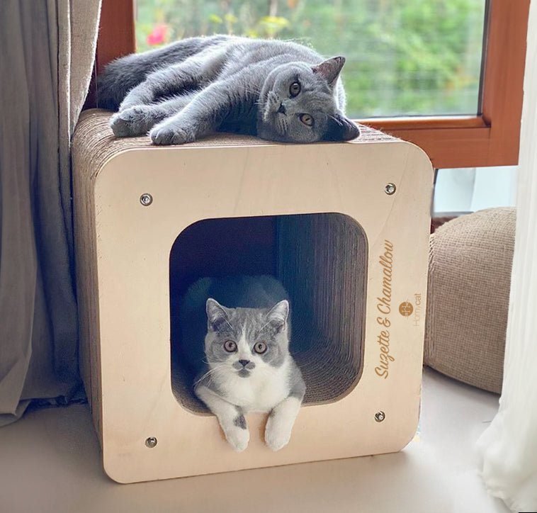 Griffoir cube design - cabane pour chat à personnaliser