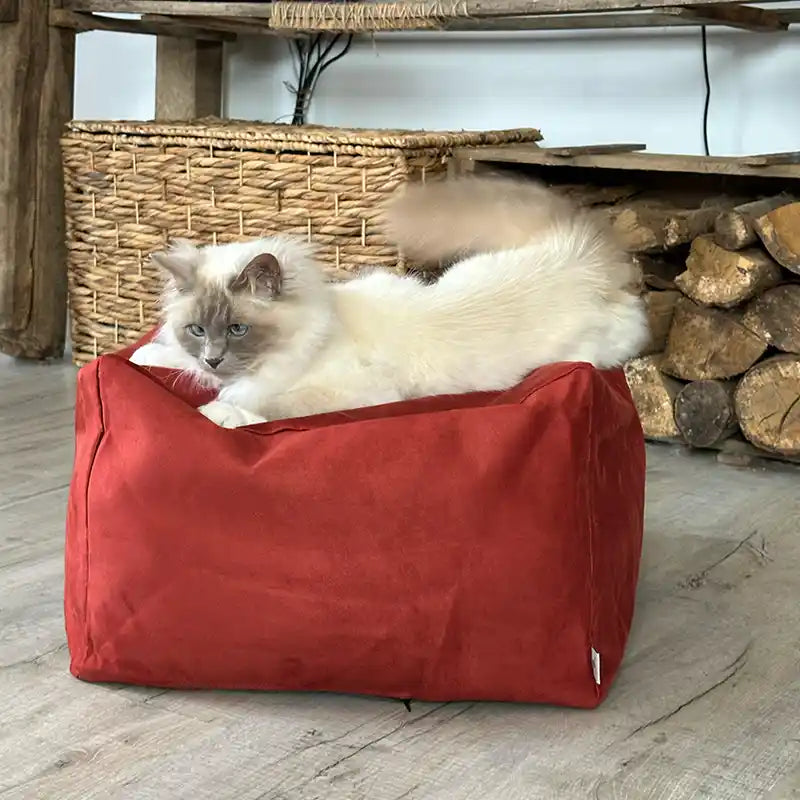 Cubes S et XL - Couchage chat déco - Terracotta Feuillage Orange