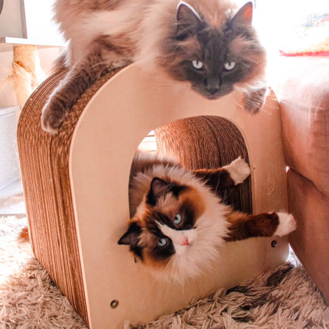 Griffoir Lettre D XL