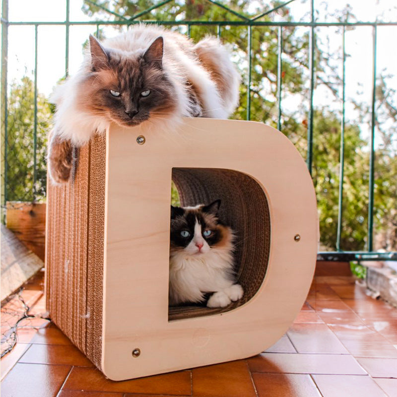 Griffoir Lettre D XL