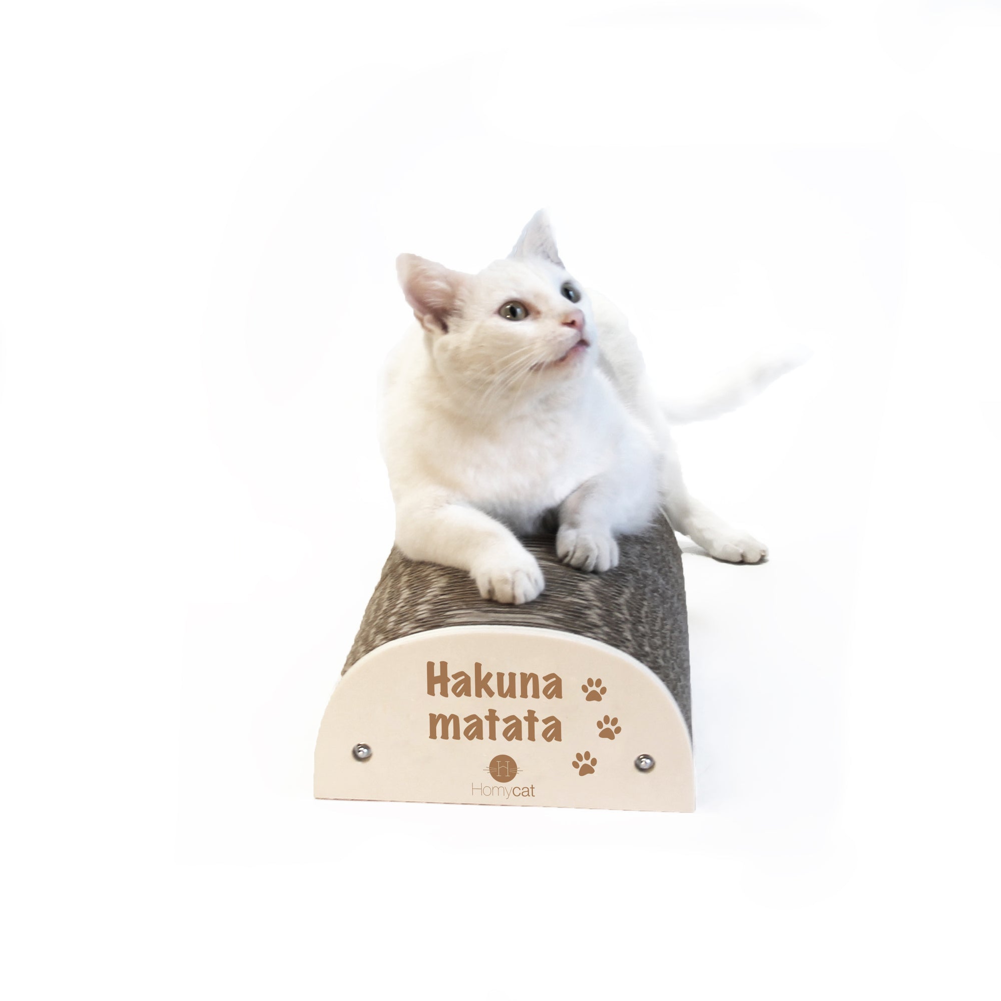 Griffoir chat "Hakuna Matata"
