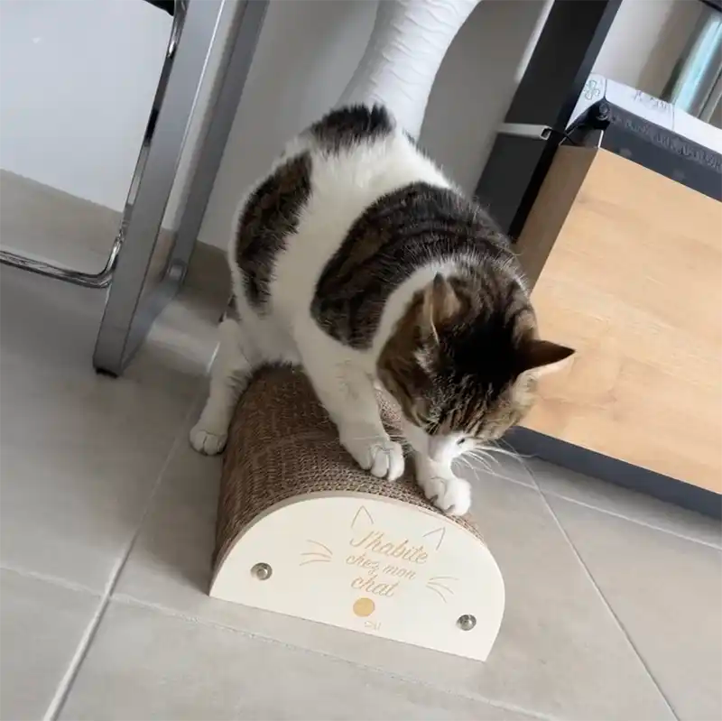 Griffoir "J'habite chez mon chat"