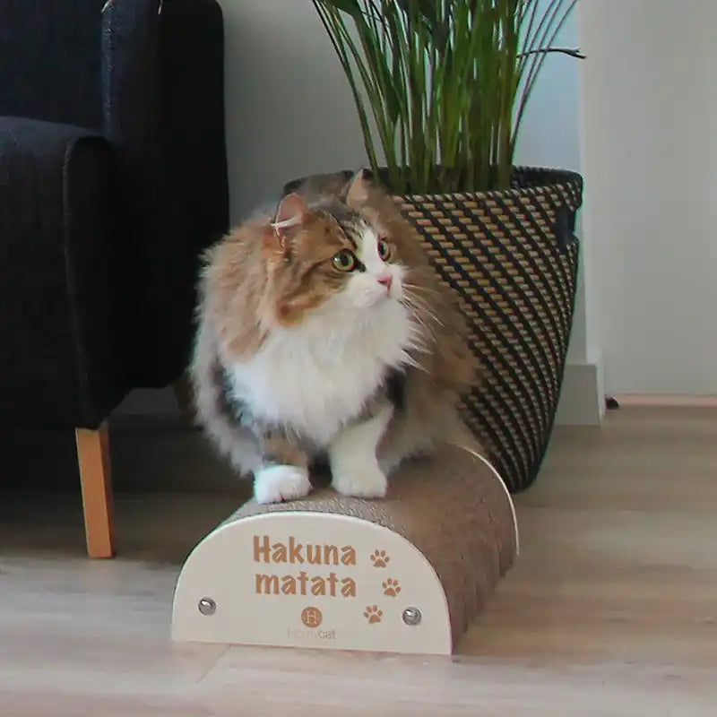 Griffoir chat "Hakuna Matata"